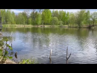 🌿 СВОЯ ЗЕМЛЯ В ЖИВОПИСНЫХ УГОЛКАХ  Серпуховского района! 🌿  👀 Устали от тесных квартир и шумных соседей?
🚗..