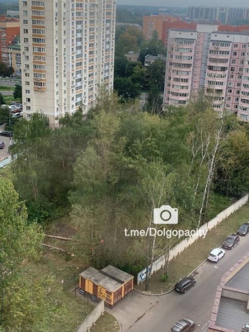 Сухостой говорили они, никакой застройки твердили они…. Какая же наглая ложь от нашей администрации..