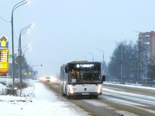 В Пушкинском округе поездки на автобусах станут более безопасными.  Фото: пресс-служба губернатора и..