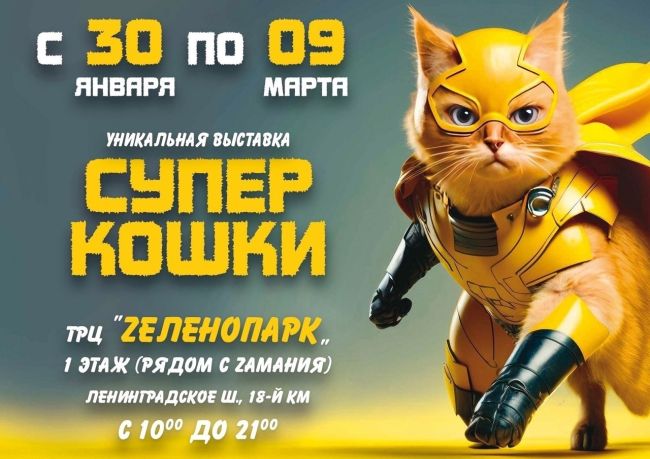 Готовы ли вы к самой пушистой и захватывающей выставке этой зимы? 
«Супер кошки» открывают свою тайную..