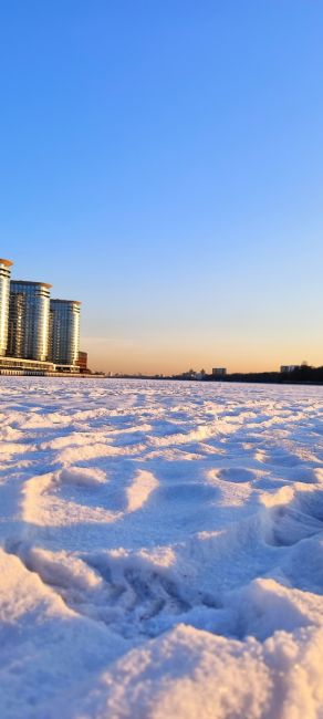 Ночной чат!
Если бы Химки могли говорить, что бы они сказали своим..