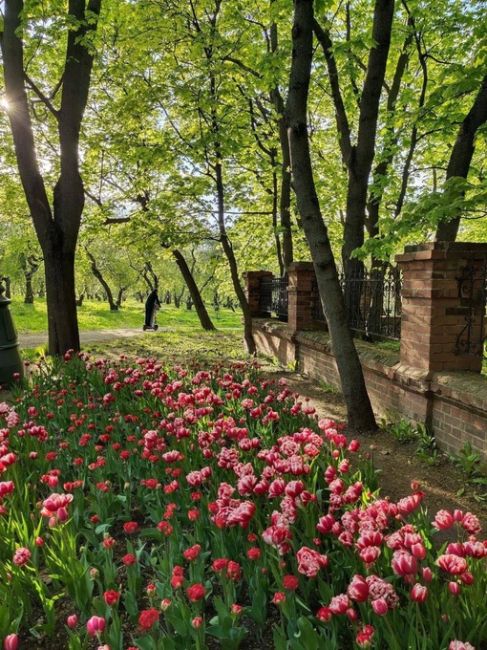 Одно из самых древнейших мест в Москве — Музей-заповедник..