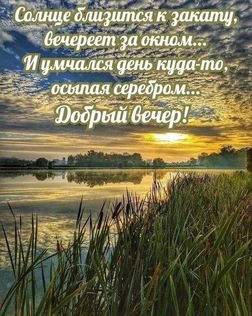 Всем отличного вечера! 😇  Фото..