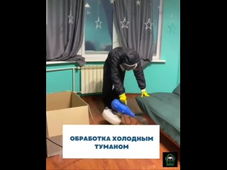 Владельцы собак в Подмосковье будут обязаны убирать за своими питомцами начиная с осени 🐶 
Напомним,..