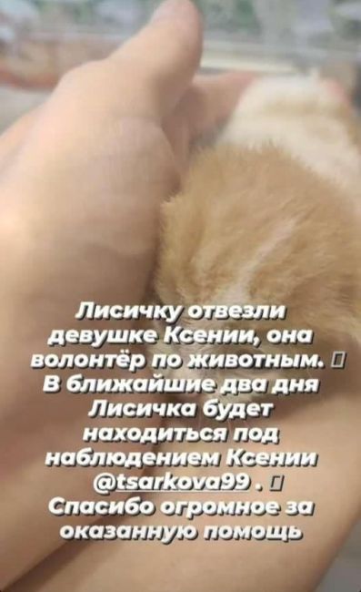 И ТАКИЕ ЛЮДИ СРЕДИ НАС ‼😡
Это живых котят закопали((( 
Котят нашли в лесу за отелем..