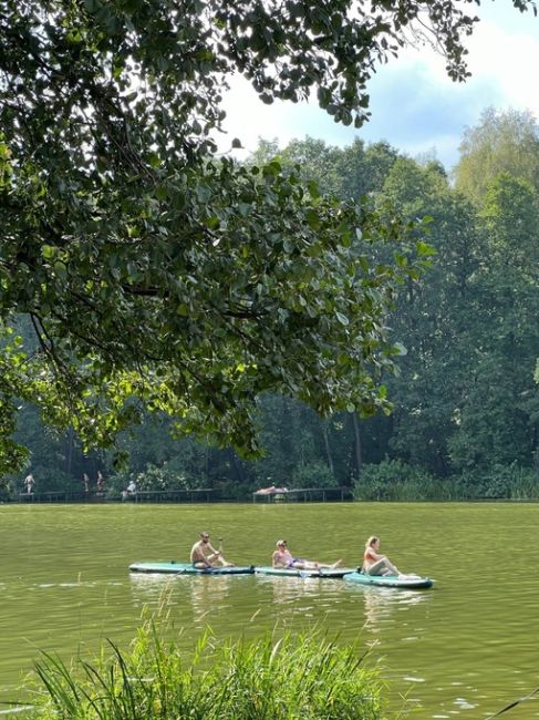 НА ПЕХОРКЕ СЕГОДНЯ ОЖИВЛЕННОЕ ДВИЖЕНИЕ 🛶
Давно там..