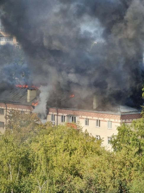 Площадь пожара на Пионерской, 1 - 1000 кв м.
10 пожарных расчетов задействовано в тушении На месте работают..