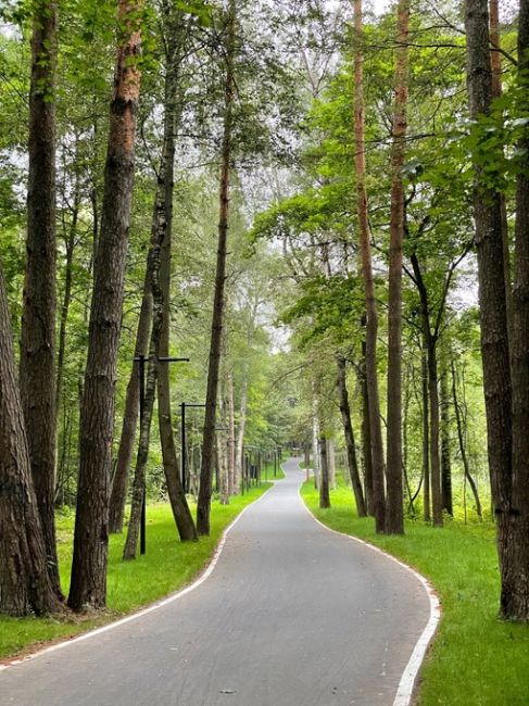 Немного вело-лыжероллереой трассы в Дубровицком..