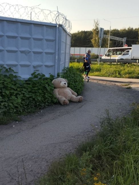 ЧЬИ ПОТЕРЯШКИ? 🐻
Мишек..