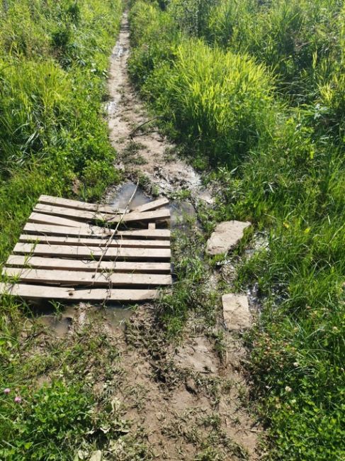 Всем привет. На днях решил прогуляться по Челобитьево, в частности по месту, которое в сети иногда описывают..