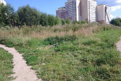 В районе мостика между речками Борисовка и Сукромка - помойка. Раньше здесь стояли мусорные баки, но чудесным..