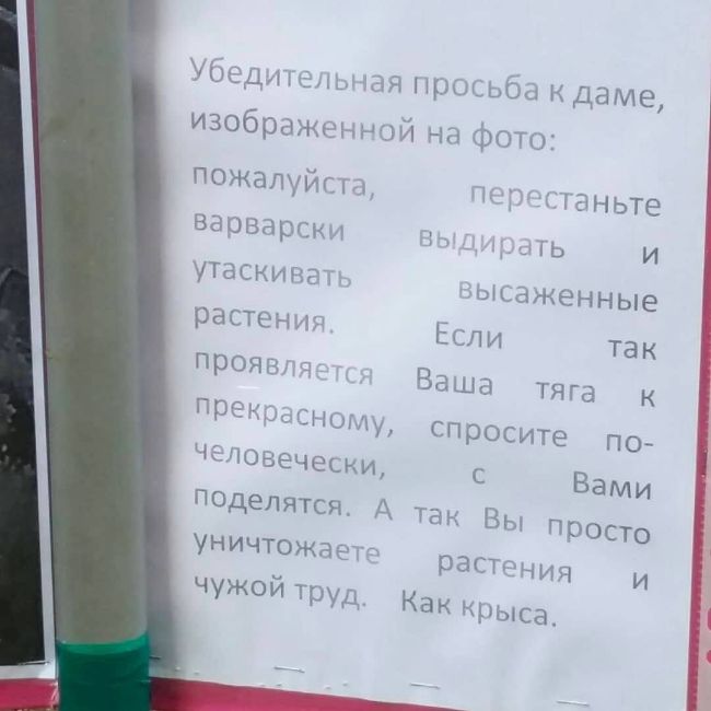 🫵 Изобретательный метод борьбы с варварством в одном московском..