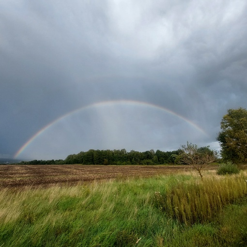 После дождя всегда приходит радуга 🌈  Делитесь в комментариях..