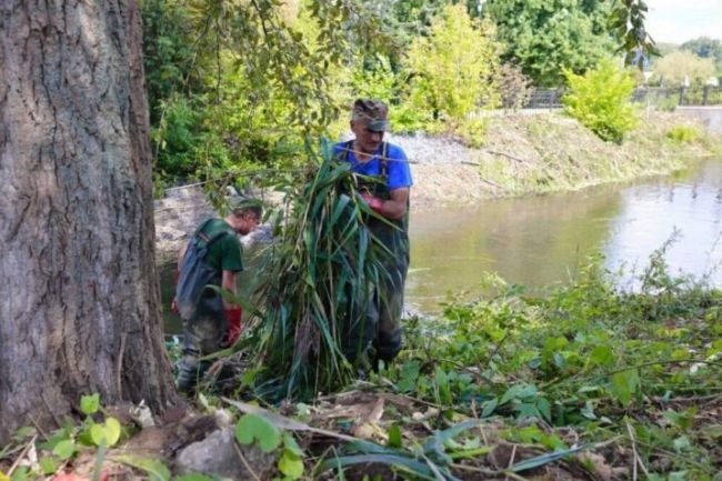 Очистка реки Яузы в Мытищах  🔹На этой неделе в нашем городском округе приступили к очистке реки Яузы на..