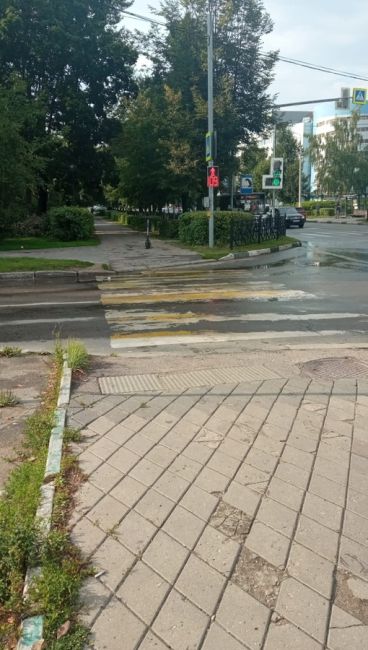 В Подольске пешеходные переходы акварелью красят или гуашью? Ещё лето не закончилось, а их уже смыло дождем!..