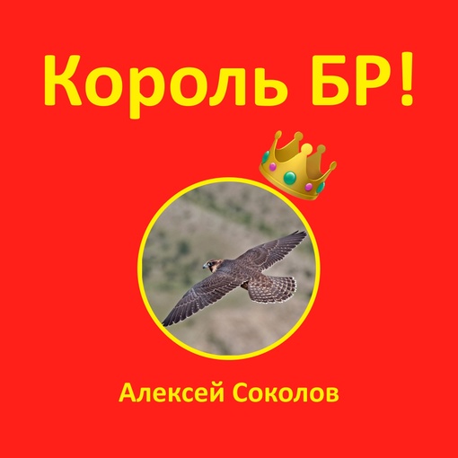 ПЕРВЫЙ КОРОЛЬ БР! 👑
Поздравялем Алексея Соколова с победой 🥳 На этой неделе именно он был самым активным..