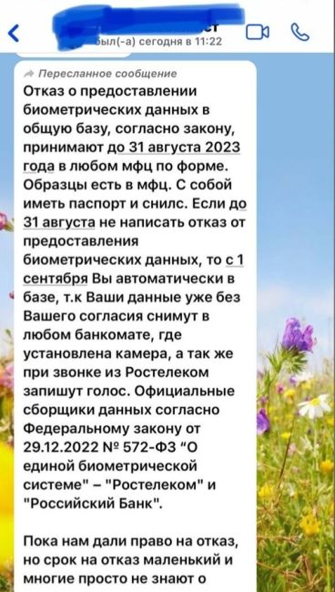 А ВЫ УЖЕ НАПИСАЛИ ОТКАЗ СБОР БИОМЕТРИИ❓
📸 Марина
Поддадимся всеобщей панике? Или будем образованными..