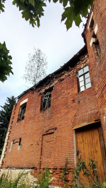 🌳 Сенницы: почему все больше туристов едет в древнее село?  Это одно из самых культовых мест под Озерами,..