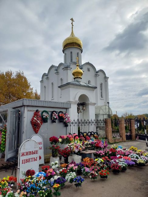 КЛАДБИЩЕНСКАЯ МАФИЯ БАЛАШИХИ
Flowerly flowerly
Похоронить в Балашихе дорого, а вот потом установить памятник вообще..