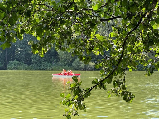 НА ПЕХОРКЕ СЕГОДНЯ ОЖИВЛЕННОЕ ДВИЖЕНИЕ 🛶
Давно там..