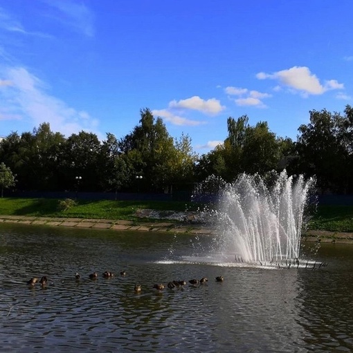 Было время! Когда-то на Барашкинском пруду каждое лето химчан радовал большой красивый фонтан.
Здорово было..