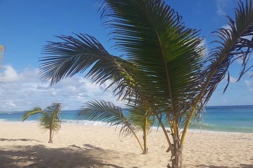 «Есинские мальдивы» сегодня 🌴  А где купаетесь..