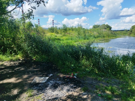 Всем привет. На днях решил прогуляться по Челобитьево, в частности по месту, которое в сети иногда описывают..