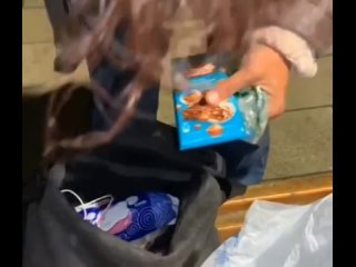 🐁Когда а администрации дойдут руки до крыс на Борисовка 16-18. И ТВ приезжало, и писали, и трубили и никакой..