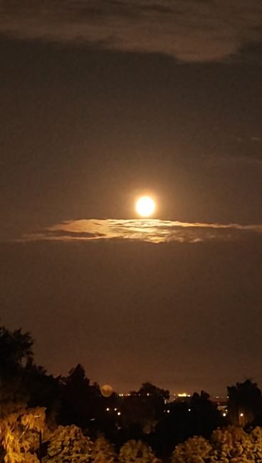 Восхитительная луна..