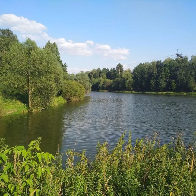 Сегодня в Красногорске ещё будет жарко ☀️  Кто успел на выходных сходить на пляж?..