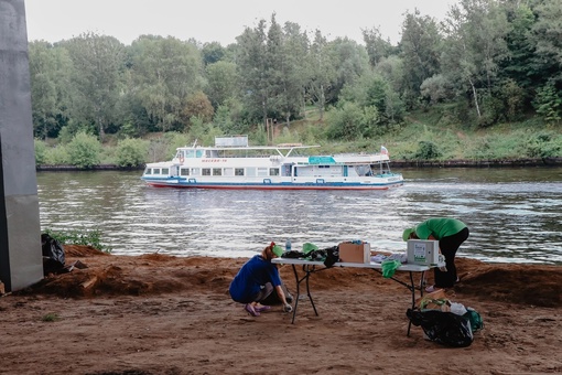 В Химках провели экологическую акцию «Берег добрых дел» и очистили пространство под мостом М-11 ближе к..