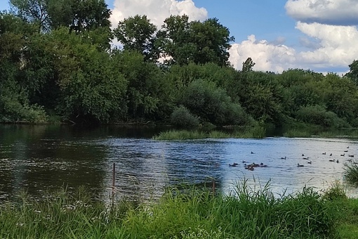 Доброе утро, друзья..