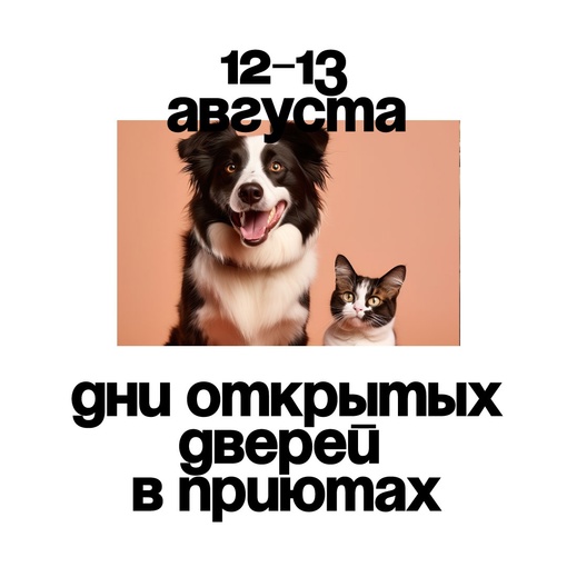 12 и 13 августа приходите на Дни открытых дверей в приютах для бездомных животных Москвы и Московской области!..