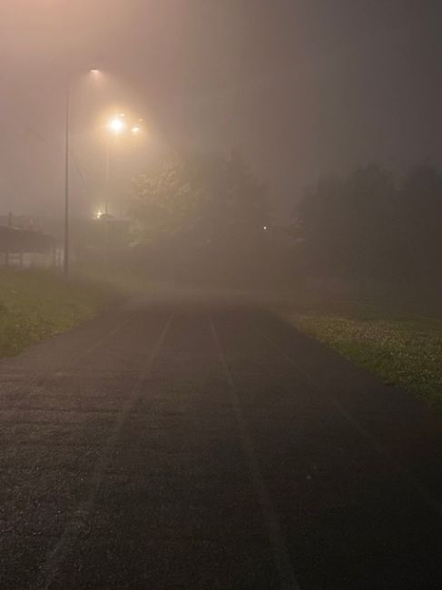 Экстренное предупреждение о погоде от МЧС 🌫️  С 22:00 до утра в московском регионе туман с ухудшением..