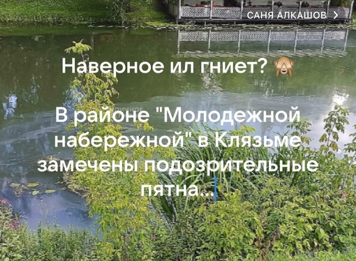 «Есинские мальдивы» сегодня 🌴  А где купаетесь..