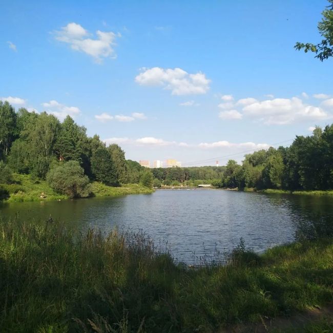 Сегодня в Красногорске ещё будет жарко ☀️  Кто успел на выходных сходить на пляж?..