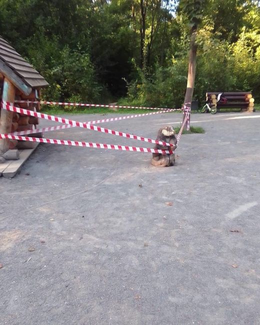 Приятная новость👍  В ЭкоПарке «Губайловский» приведут в порядок площадку "Деревянное зодчество".  Всё..