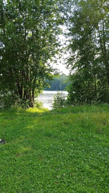 ☀️ «Это хуже, чем Анапа и Сочи, вместе взятые» 🫣  🏖 Подмосковные пляжи забиты под завязку не хуже анапских...