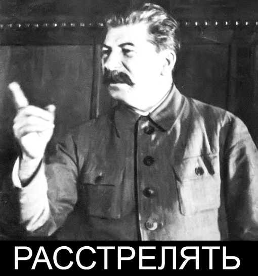 Нижегородские полицейские в Подмосковье поймали мигранта, который изнасиловал несовершеннолетнюю..