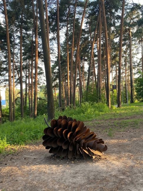 Соседи, го проверим, насколько хорошо вы знаете наши парки! 🌳  Где находится вот такая..