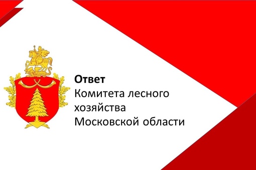 Жесть что творят! Г. Видное Пуговичино, просто вырезают свежий еловый лес, где охрана природы!? Скоро будем..