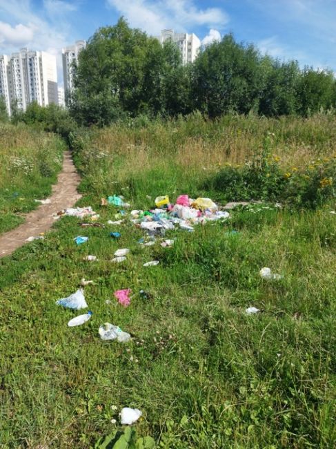 Всем привет. На днях решил прогуляться по Челобитьево, в частности по месту, которое в сети иногда описывают..