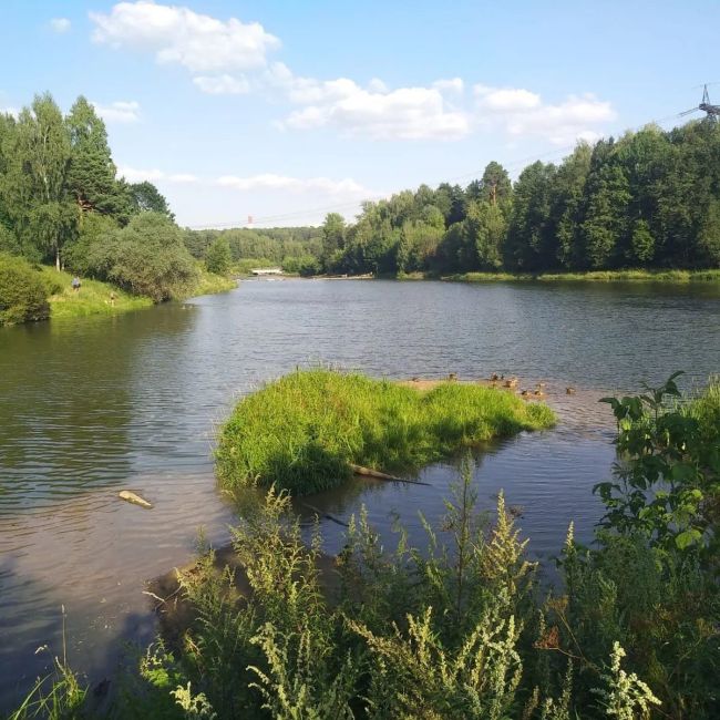 Сегодня в Красногорске ещё будет жарко ☀️  Кто успел на выходных сходить на пляж?..