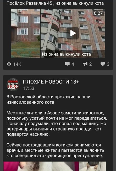 🔞Впечатлительным видео не смотреть  Посёлок Развилка 45 , из окна выкинули..