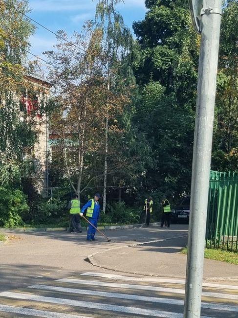 У меня вопрос, кто руководит этими "чудо-специалистами", которые по 5 -7 человек убирают участок земли 5×5 м, при..