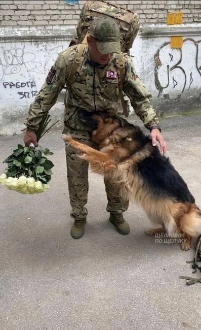 Верный пес ждал целых 8 месяцев возвращения хозяина с..