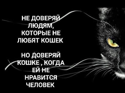 Ежедневно в ленте этой замечательной группы встречаются жалостливые посты о бездомных или выброшенных..