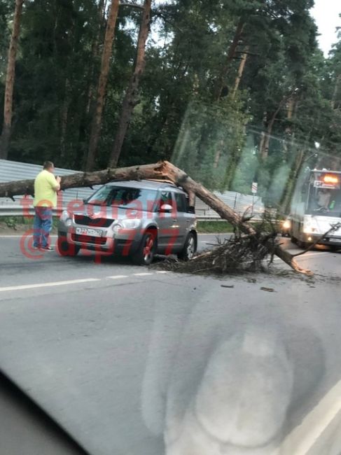 Люберцы 
посёлок Малаховка 
Быковское шоссе водителю упало дерево на крышу.  #люберцы..