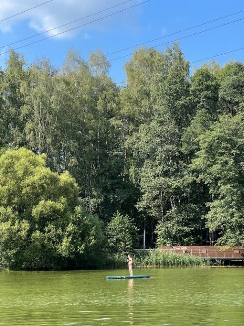 НА ПЕХОРКЕ СЕГОДНЯ ОЖИВЛЕННОЕ ДВИЖЕНИЕ 🛶
Давно там..