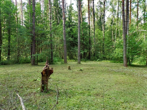 Фоторепортаж с Лесного озера. 
На Лесном озере в Сергиевом Посаде отгремели, отшумели выходные дни. Озеро и..